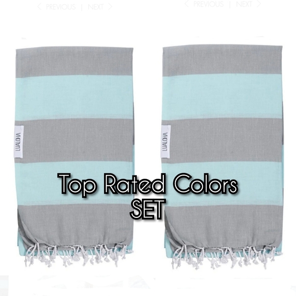 Neiman Marcus Other - Luxury Turkish Cotton Towel // Silver & Mint